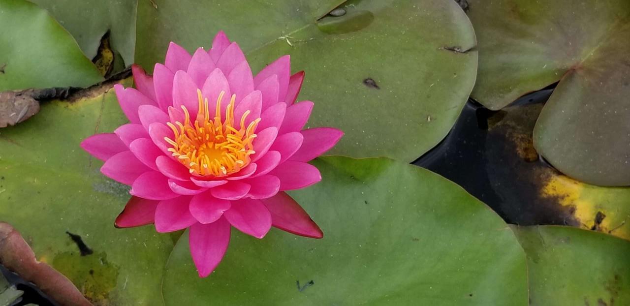 Having Difficulty Finding Peace? These 10 Easy Steps Will Help You ... Having Difficulty Finding Peace? These 10 Easy Steps Will Help You ...