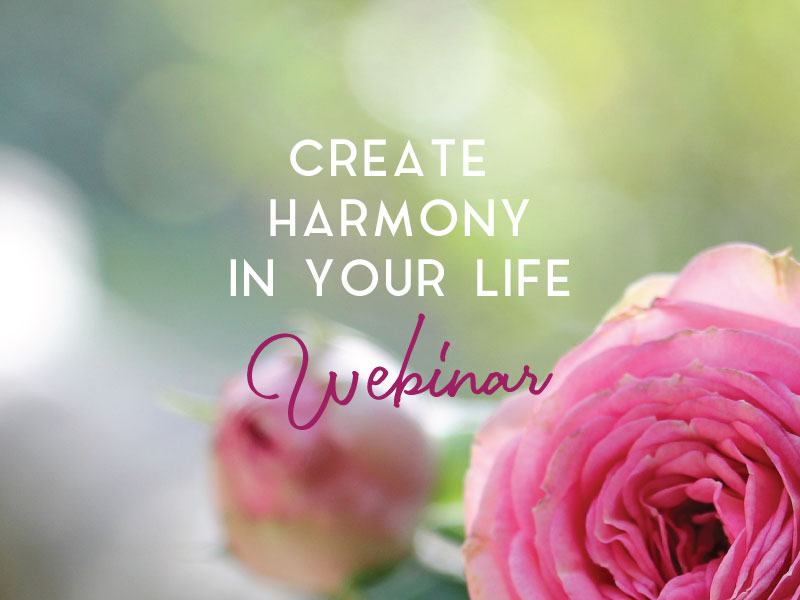 In the Joy of Others - Celebrating a Life Promoting Family Harmony ...